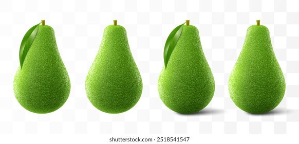 Fresh fruit avocado isolated on transparent background. Realistic 3d vector illustration. Green avocado for healthy eating.