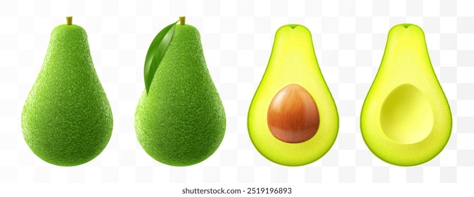 Fresh fruit avocado isolated on transparent background. Whole and cut in half avocado with pit. Green avocado for healthy eating. Realistic 3d vector illustration.