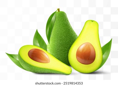 Fresh fruit avocado isolated on transparent background. Whole, slices and halves avocado with bone. Green avocado for healthy eating. Realistic 3d vector illustration.