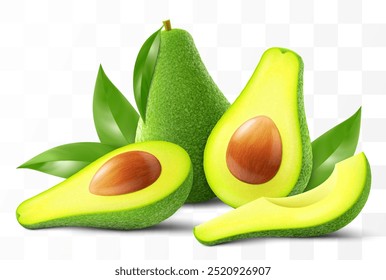 Fresh fruit avocado isolated on transparent background. Whole, slices and halves avocado with bone. Green avocado for healthy eating. Realistic 3d vector illustration.