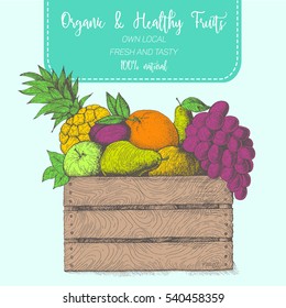 Fresh fruit in box. Natural food for farmers market. Hand drawn vector illustration.