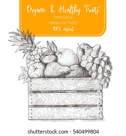 Fresh Fruit In Box. Natural Food For Farmers Market. Hand Drawn Vector Illustration.