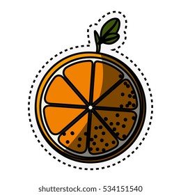 fresh fruit with cut line isolated icon