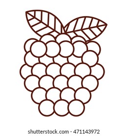 fresh fruit delicious isolated icon vector illustration design