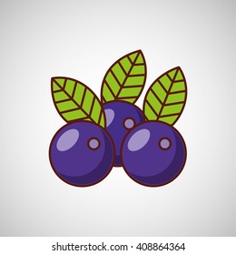 fresh fruit design 