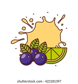 fresh fruit design 