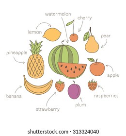 fresh fruit - design concept. Hand drawn vector illustration.