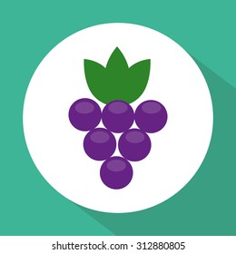fresh fruit design, vector illustration eps10 graphic 