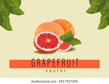 Ilustración vectorial de icono de pomelo de fruta fresca