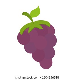 fresh fruit grapes