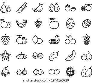 fresh fruit  icon set for nature business. line style
