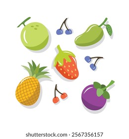 Fresh fruit illustration. Pineapple. Melon. Mango. Strawberry. Mangosteen. Healthy food. 