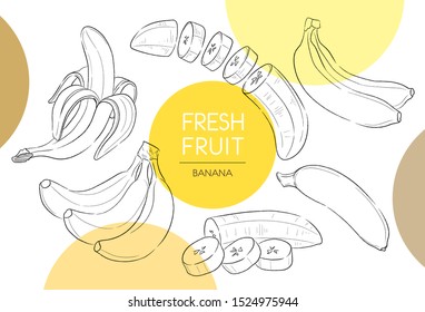 Fresh fruit illustrations collection isolated. Banana set vector drawing, organic food hand drawn, peel banana and sliced pieces with yellow circle on white background