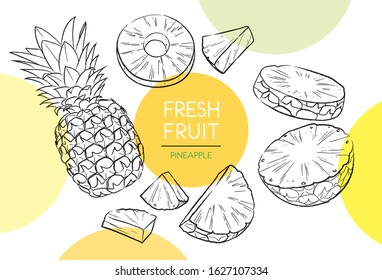 Fresh fruit illustrations collection isolated. Pineapple set vector drawing, organic food hand drawn, peel pineapple and sliced pieces with yellow circle on white background