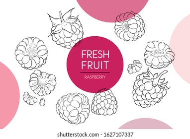 Fresh fruit illustrations collection isolated. Raspberry set vector drawing, organic food hand drawn, raspberry and sliced pieces with color circle on white background