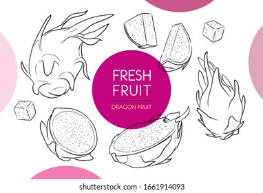 Kollektion von Illustrationen für frisches Obst einzeln. Drachenfruchtset-Vektorillustration, handgezeichnet, Bio-Lebensmittel, Drachenfrucht und Scheiben mit rosafarbenem Kreis auf weißem Hintergrund