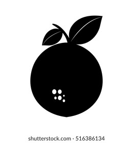 fresh fruit isolated icon