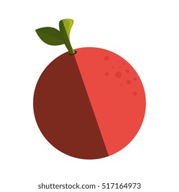 fresh fruit isolated icon