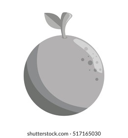 fresh fruit isolated icon