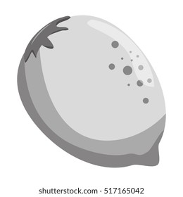 fresh fruit isolated icon