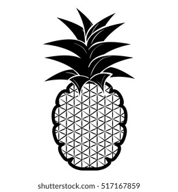 fresh fruit isolated icon