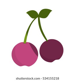 fresh fruit isolated icon