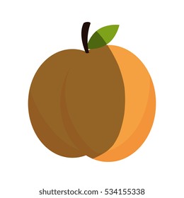 fresh fruit isolated icon