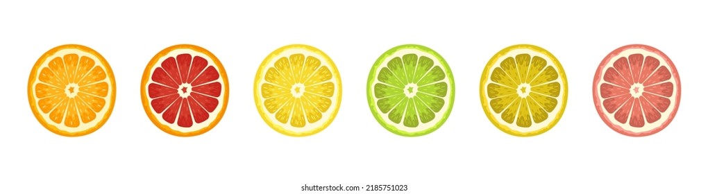fresh fruit juice sliced lemon illustration