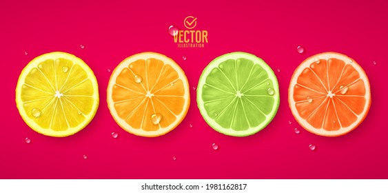 Fresh fruit. Lemon, orange, lime and grapefruit. Vector realistic illustration.