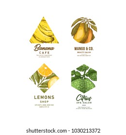 Fresh fruit logo collection. Engraved logotype set. Tropical fruit beauty salon symbols. Vector illustration