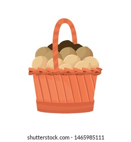 fresh fruit melons in wicker basket