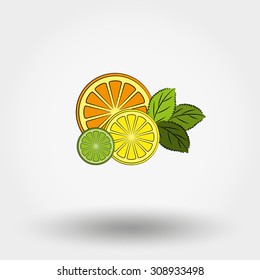 Fresh fruit and mint. Icon for web and mobile application. Vector illustration on a white background. Art line.