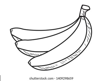 Fresh fruit nutrition healthy food and fitness diet options bananas vector illustration graphic design