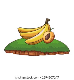 Fresh fruit nutrition healthy and grass frame