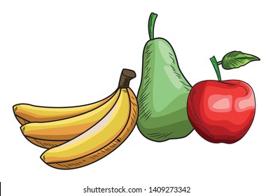 Fresh fruit nutrition healthy grouped colorful bananas pear and apple fitness diet options drawing vector illustration graphic design