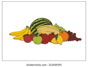 Fresh fruit on white background