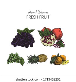 Fresh Fruit Pack Hand drawn Illustration. Farmers market menu design. Healthy food poster. Vintage hand drawn sketch, vector illustration. Linear graphic