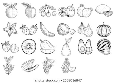 Fresh fruit pen drawing set