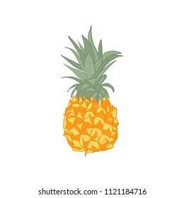 Fresh fruit pineapple in flat style vector.