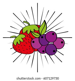 fresh fruit premium quality vector illustration design