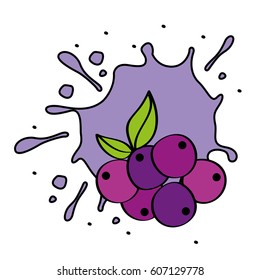 fresh fruit premium quality vector illustration design