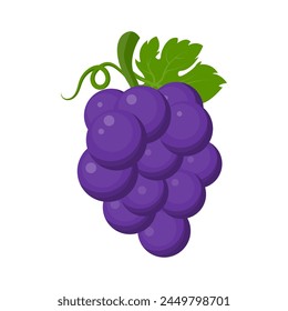 Fresh fruit purple grape with green leaf vine cartoon vector isolated illustration