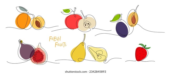 Fresh fruit set. Continuous one line drawing witn bright colors. Farmer market Logo concept. Abstract hand drawn fruit by one line. Minimalist black line sketch. Natural food vector illustration