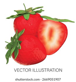 Ilustración vectorial fresca de la fresa 3D de la fruta sobre fondo blanco