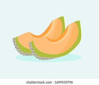 Fresh fruit: Two pieces of Cantaloupe. Cartoon vector style for your design 
