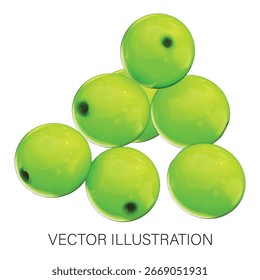 Fresh Fruit Ume 3D Vector Illustration on white background