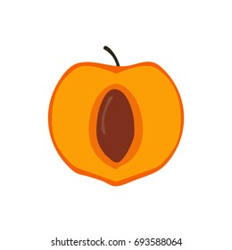 Fresh fruit vector illustration apricot