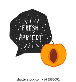Fresh fruit vector illustration apricot