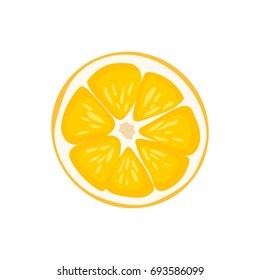 Fresh fruit vector illustration lemon
