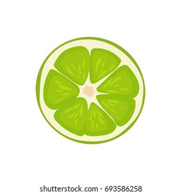 Fresh fruit vector illustration lime